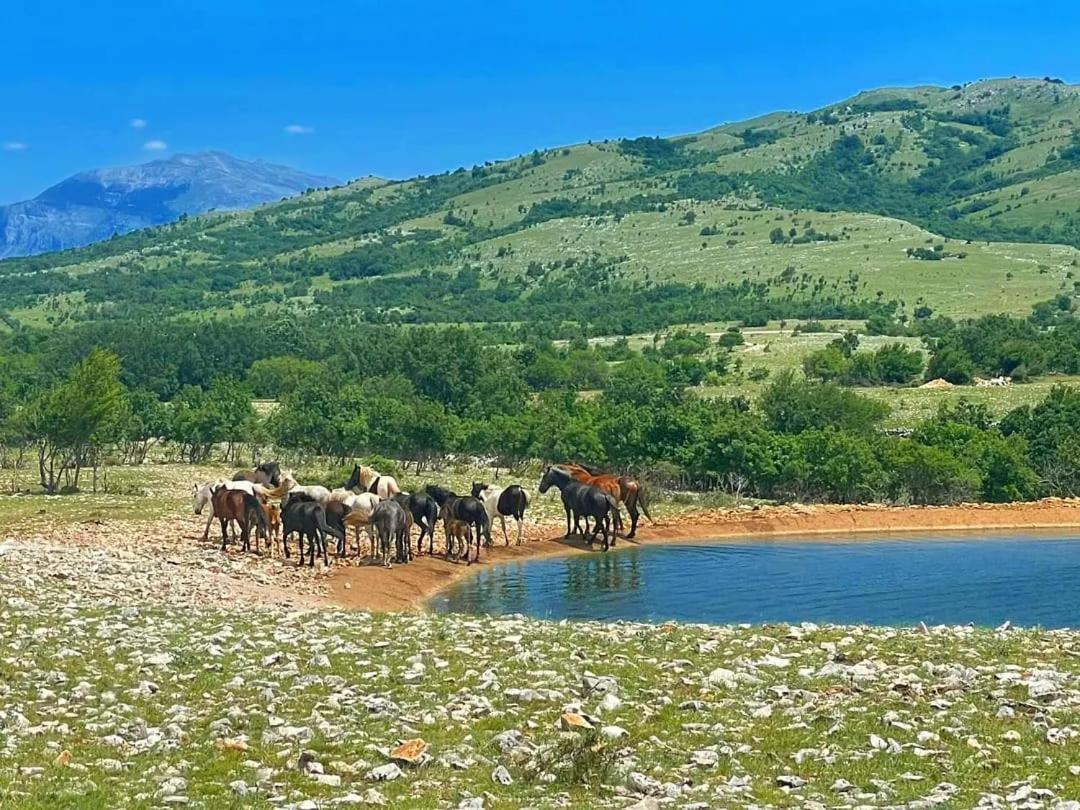 Holiday Resort Zlatni Dol Mostar Goranci Zewnętrze zdjęcie